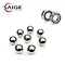 Chrome Steel Ball